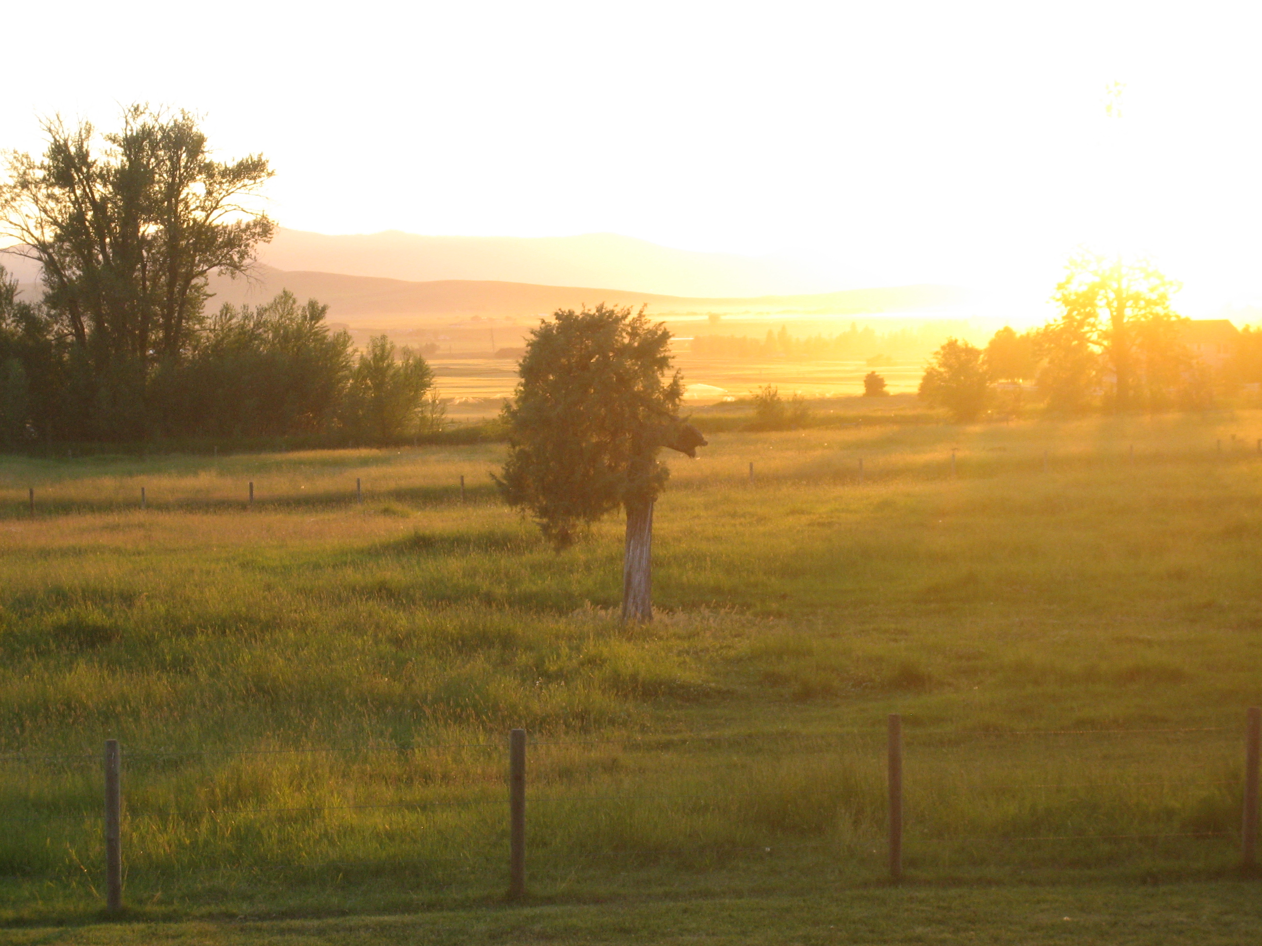 Montana Sunset