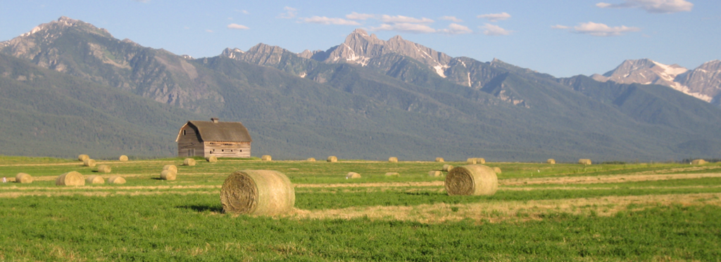 Mission Valley Hay Field near Ronan, Montana
