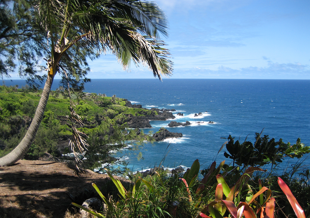 View of the Pacific