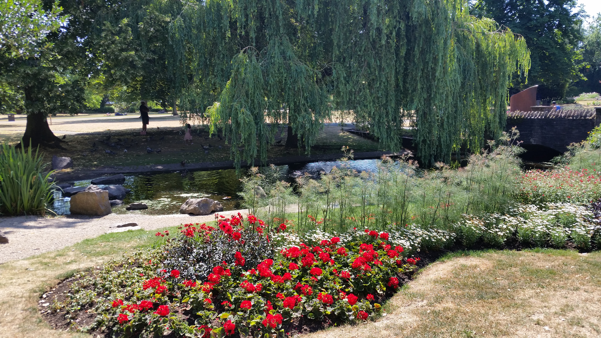 Flowers & Willow in Queen’s Park