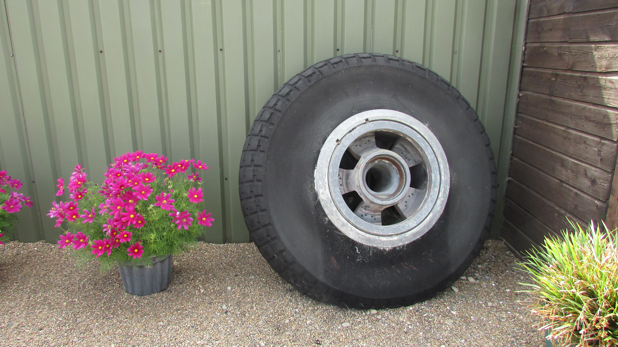 Aircraft wheel and flowers make an interesting scene at the Newark Air Museum in Newark, UK