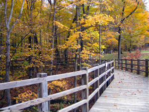 This bridge in Thacher State Park was replaced after a very short time.