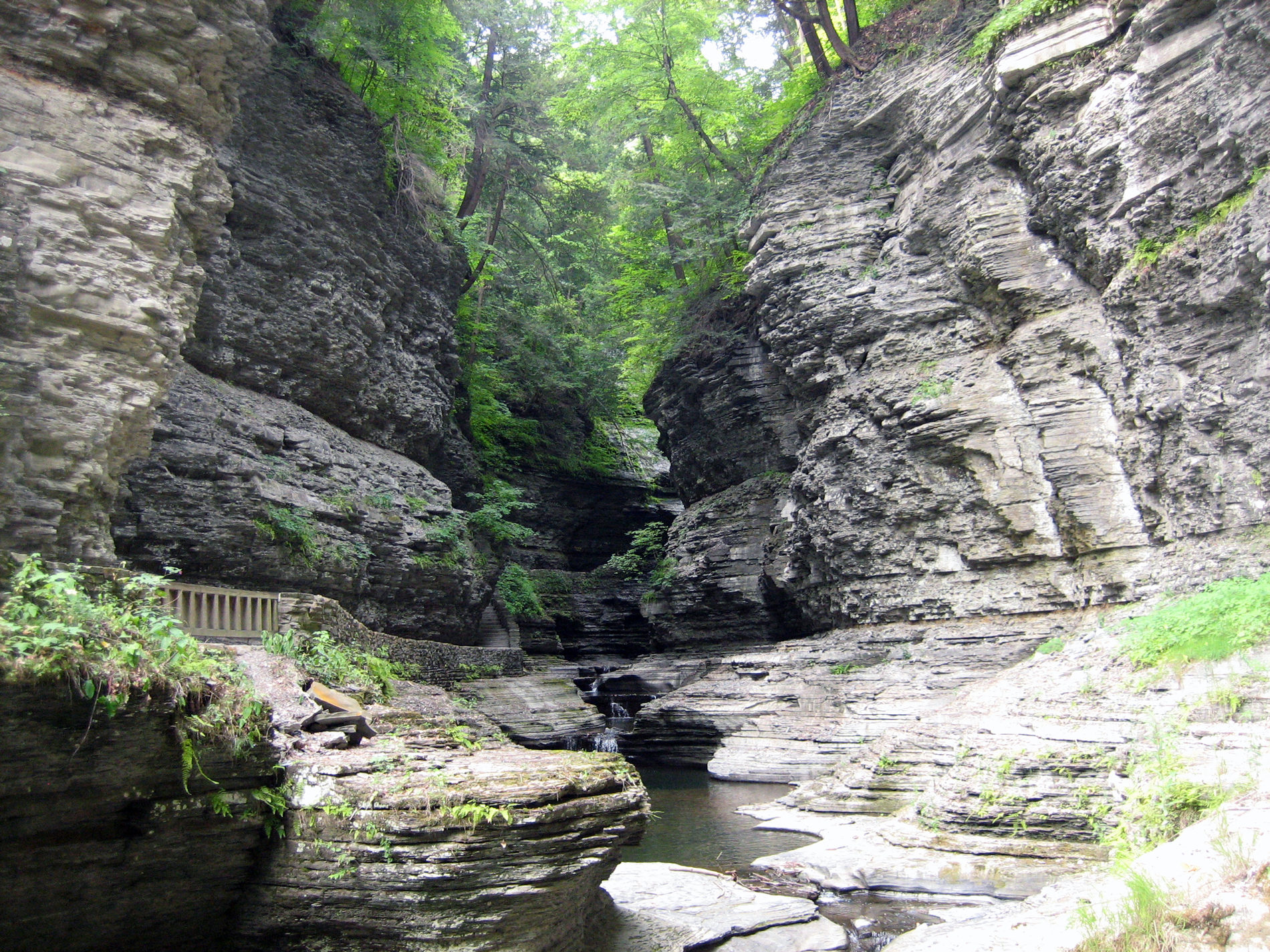 Along a trail in Watkins Glen State Park in New York you will discover these layers of rock that date back millions of years.