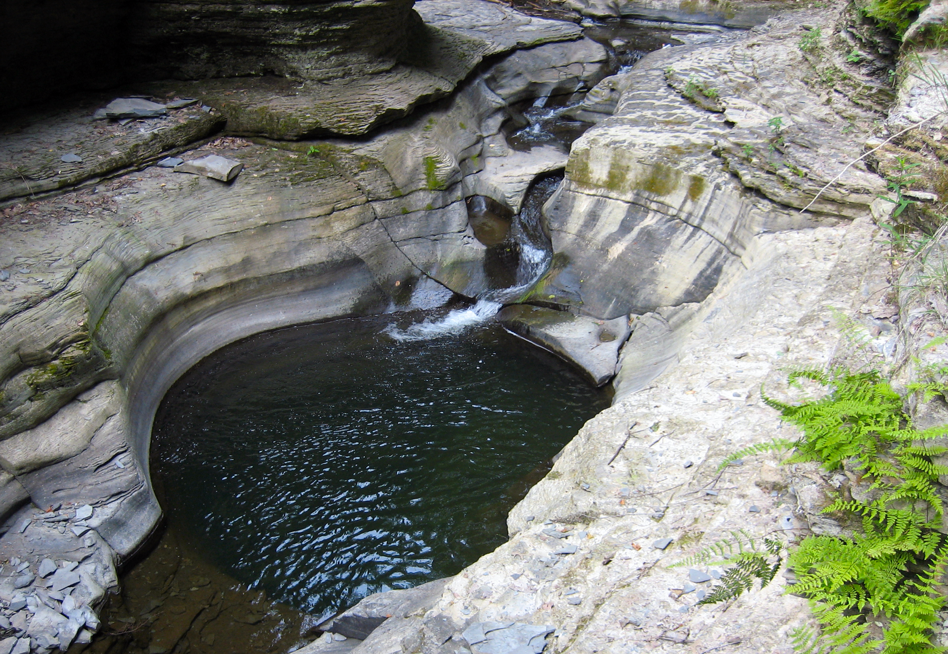 A little drip goes a long way. This pool was formed by the constant working of water on rock in Watkins Glen State Park in New York.