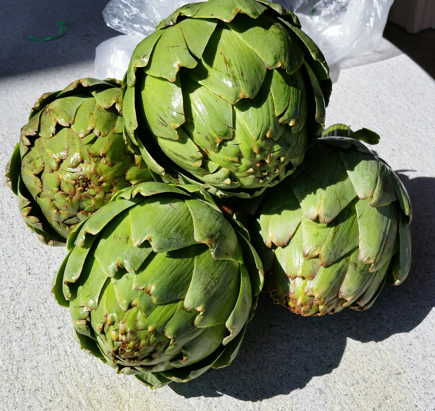 Artichokes