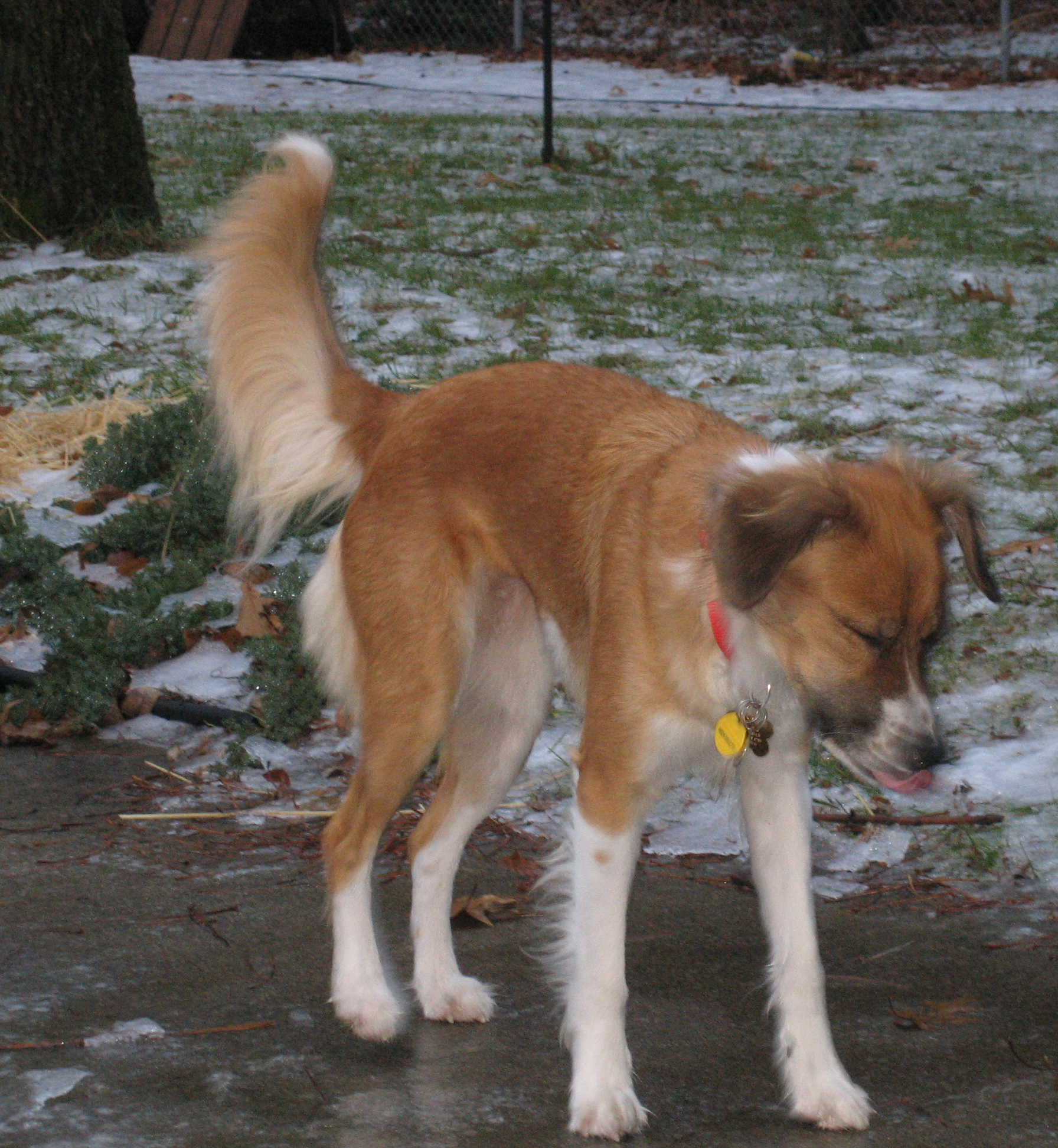 Annaleigh tastes snow for the first time