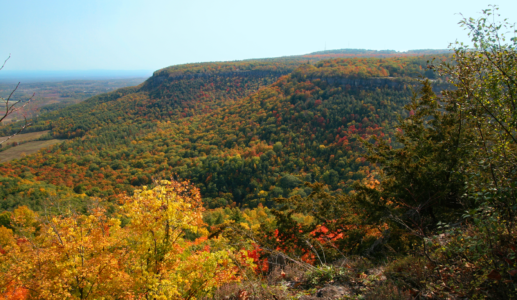 October Day at Thacher State Park