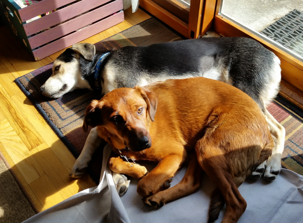 Leon and Sasha enjoy the sun