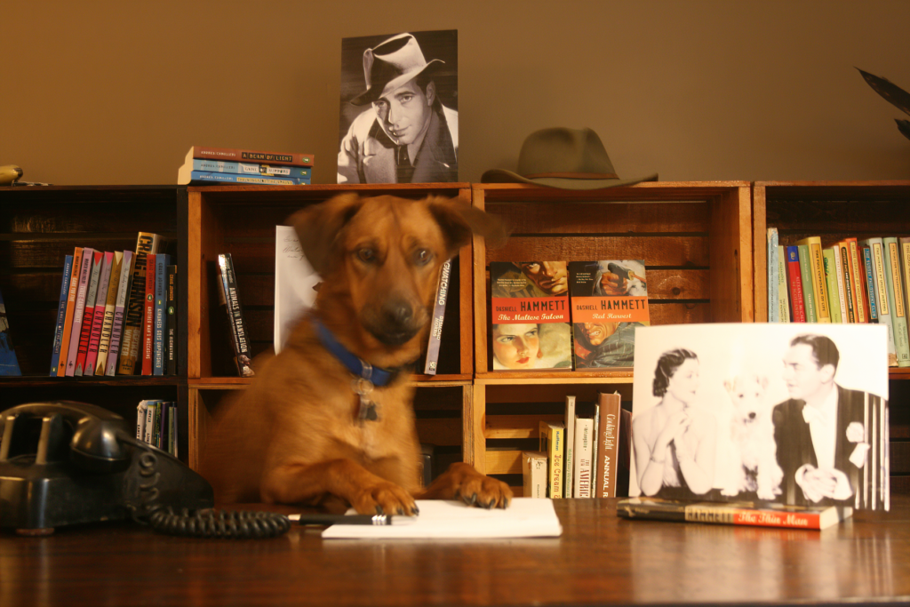 Leon at his desk