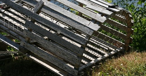 Lobster Trap Photo Now Available