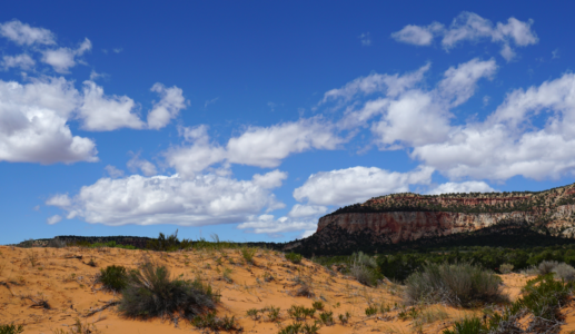 Coral Pink Sand Dunes State Park Photo – Free Hi-Res Download