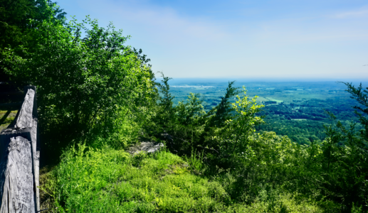 View from the Cliff