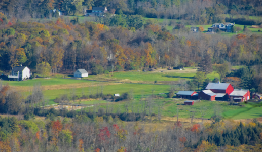 Red Barn Farm