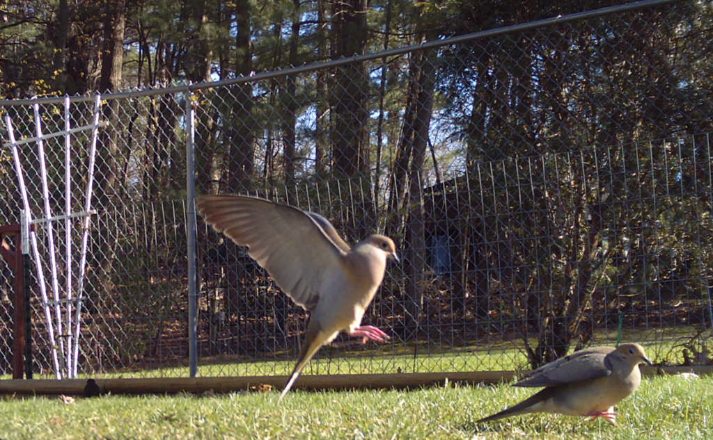 The Runway Is Not Clear for Landing