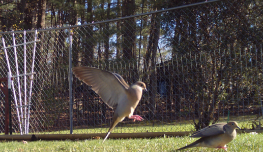 The Runway Is Not Clear for Landing