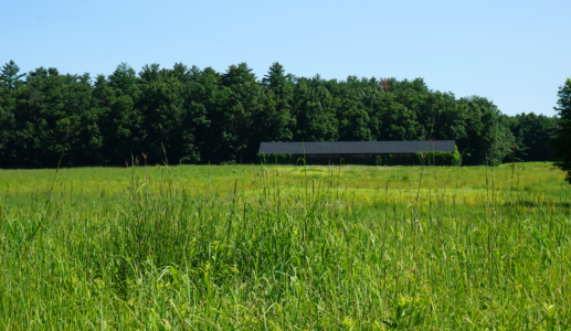 Tobacco barn at Northwest Park in Windsor,  Connecticut