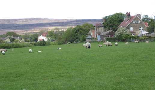 Goathland, North Yorkshire