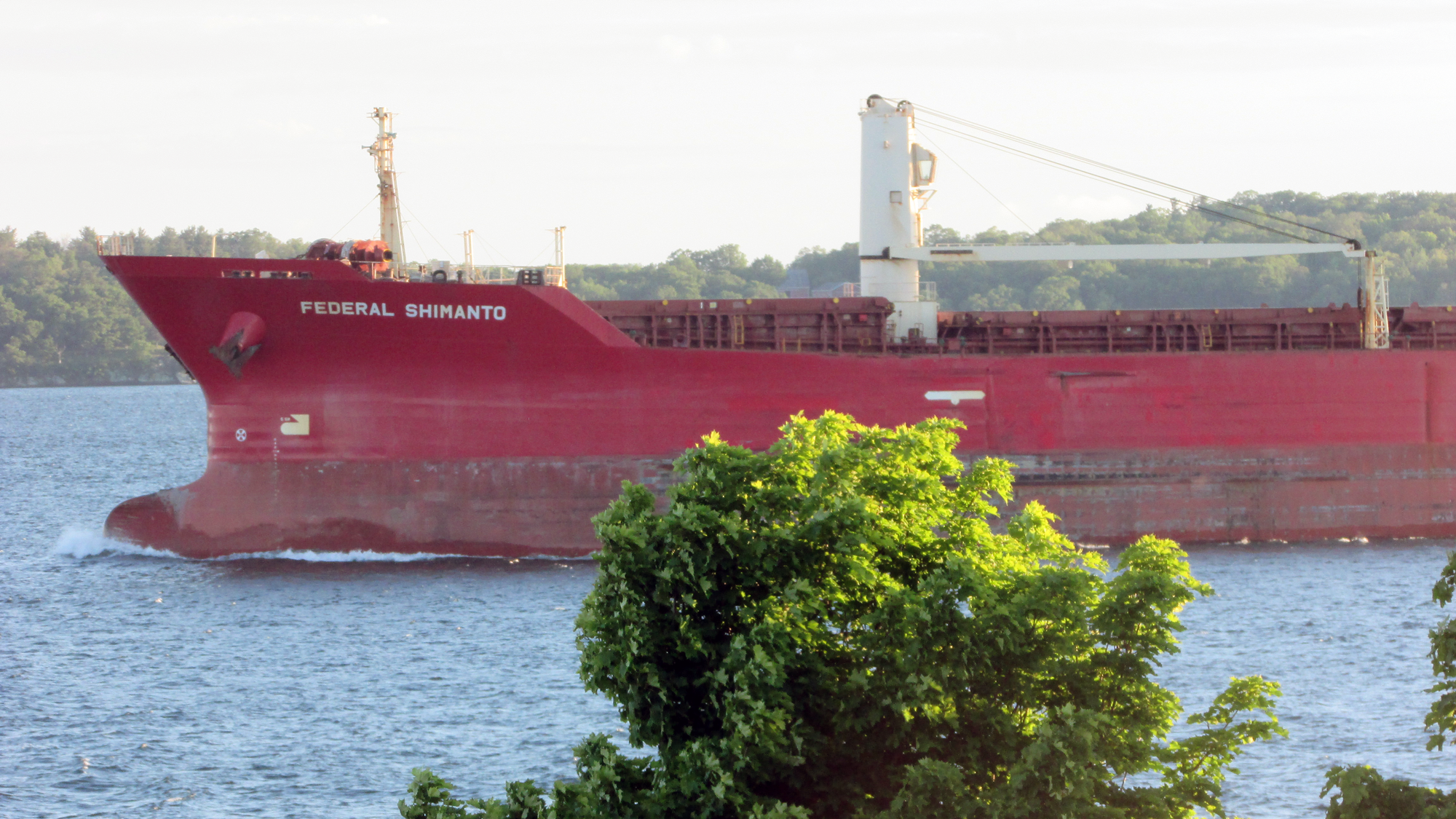 Federal Shimanto on the St. Lawrence Seaway