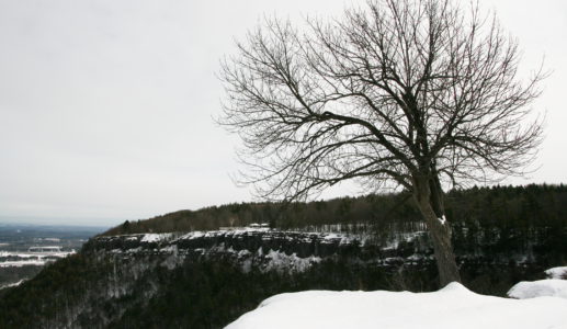 Thacher State Park View In the Snow