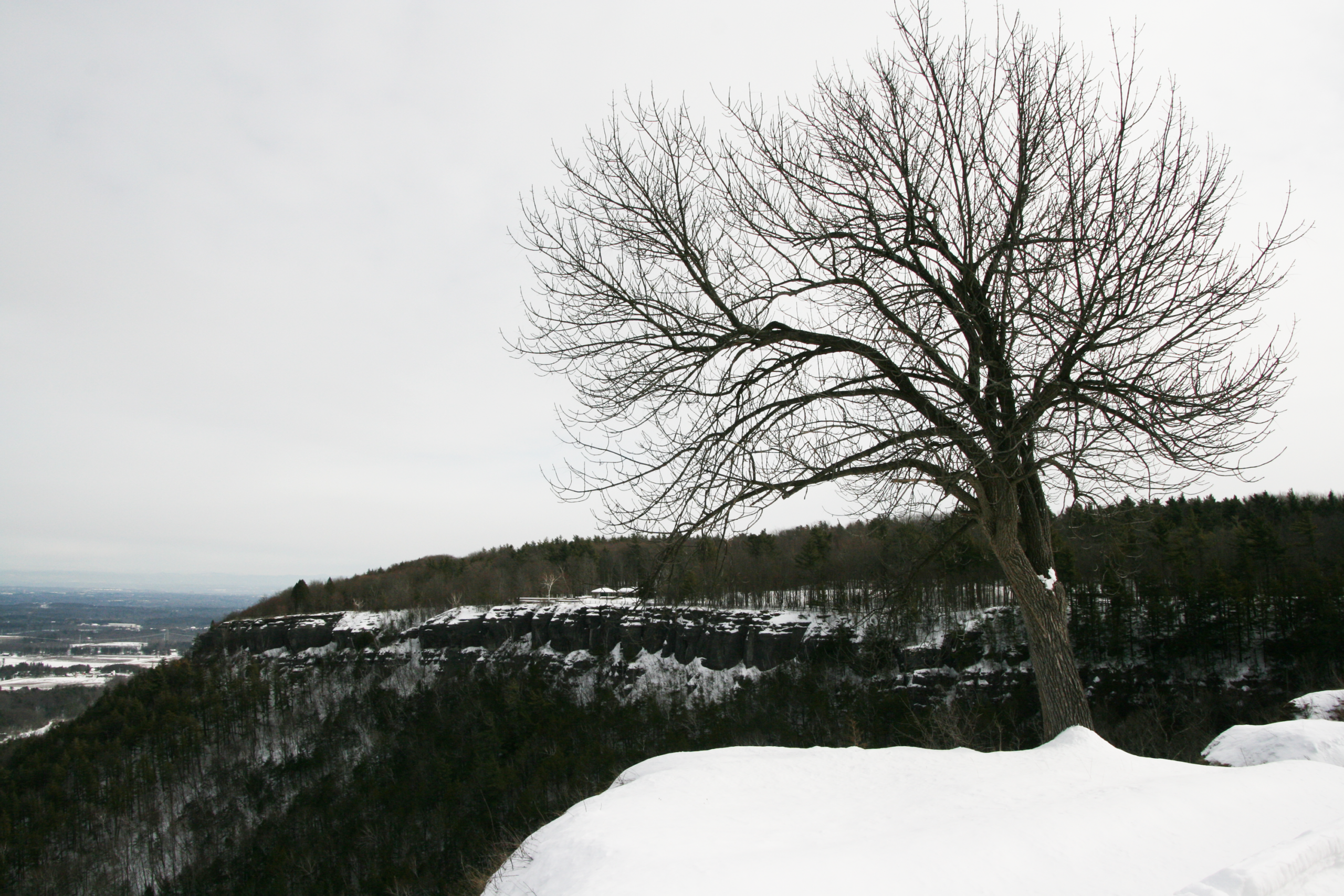 Thacher State Park View In the Snow