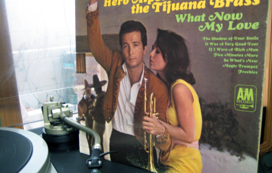 Photograph of the LP album "What Now My Love" by the Tijuana Brass.