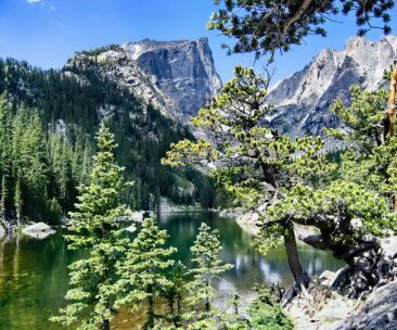 Flathead Valleu View